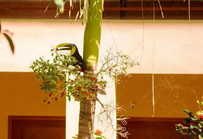 Hotelli Tropical Sands Dominical