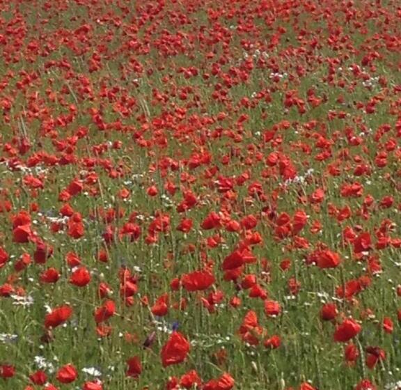 Landhotel Zum Honigdieb