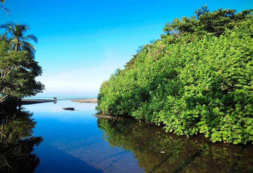 Beach Break Resort & Cr Surf Camp