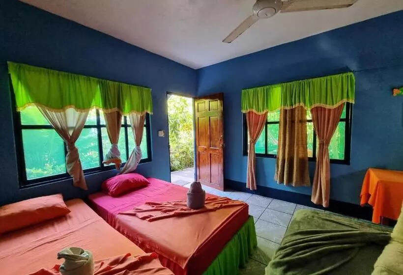 ベッドアンドブレックファースト Cabinas Tortuguero Natural