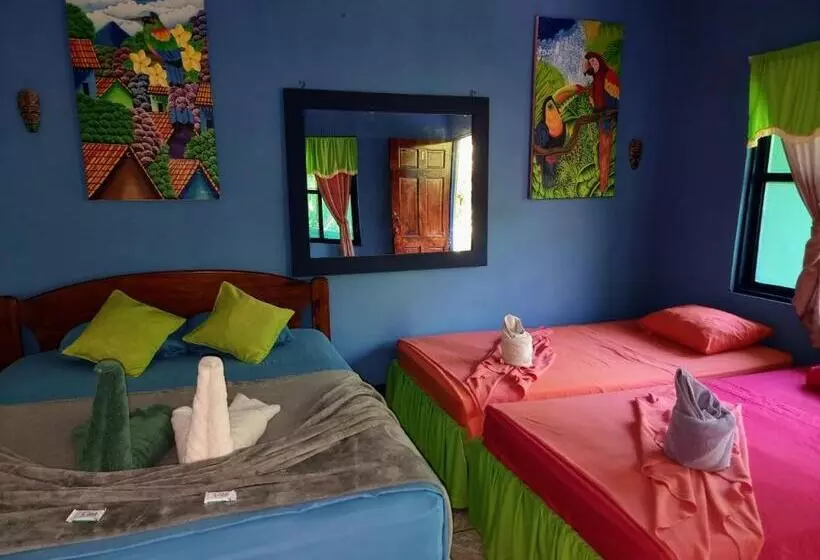 ベッドアンドブレックファースト Cabinas Tortuguero Natural