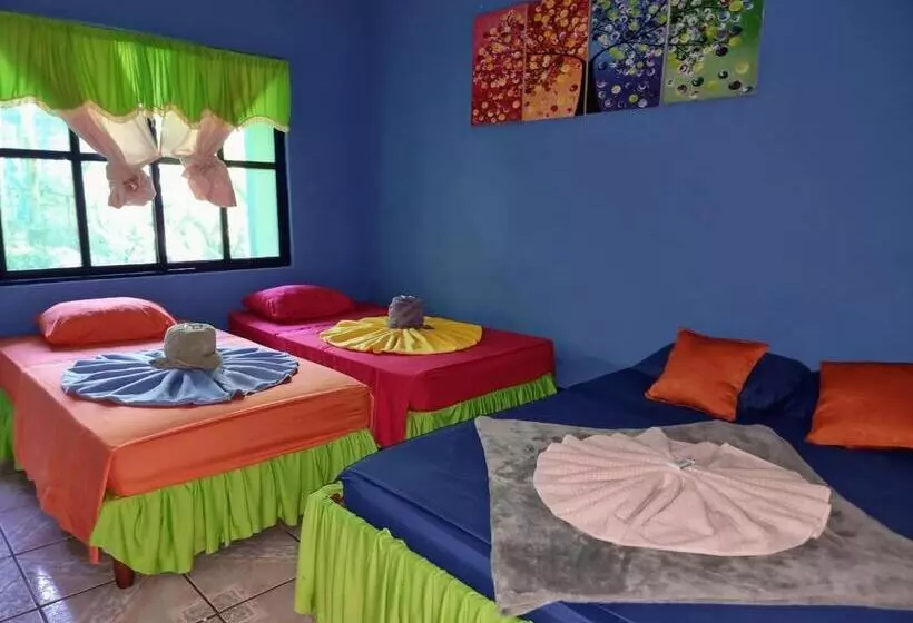 ベッドアンドブレックファースト Cabinas Tortuguero Natural