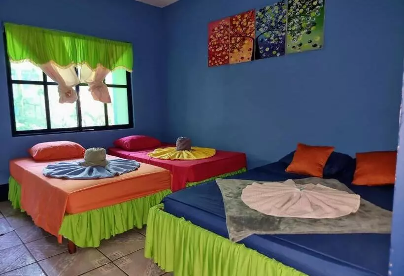 ベッドアンドブレックファースト Cabinas Tortuguero Natural