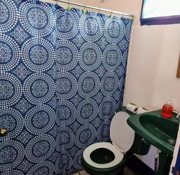 ベッドアンドブレックファースト Cabinas Tortuguero Natural