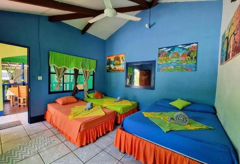 ベッドアンドブレックファースト Cabinas Tortuguero Natural