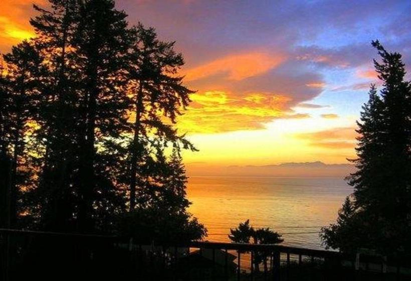 酒店 4 Beaches Bed & Breakfast