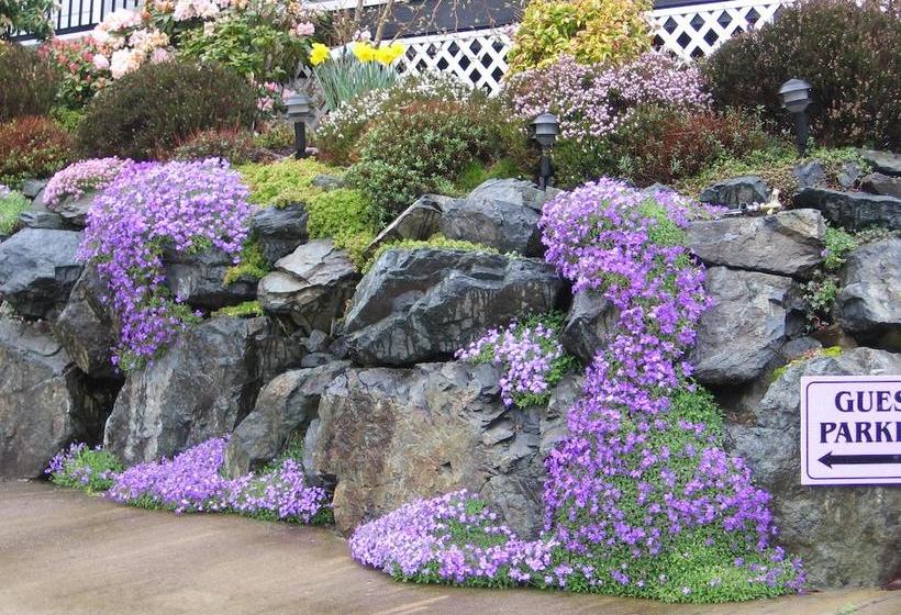 酒店 4 Beaches Bed & Breakfast