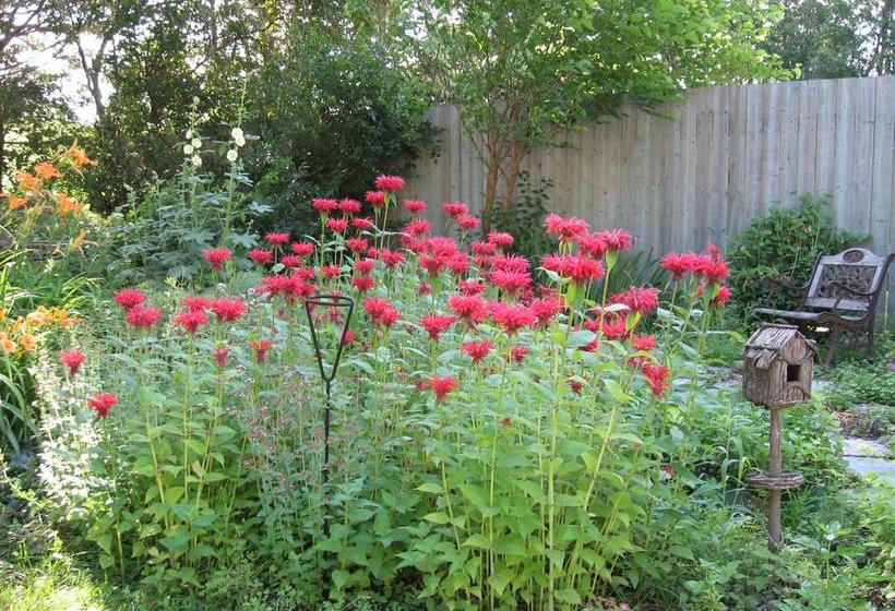 Szálloda Twin Pines Bed And Breakfast