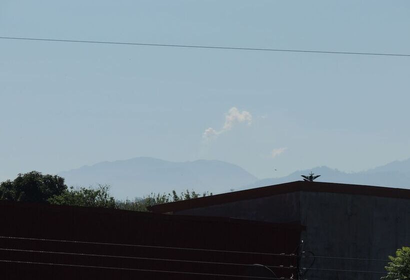 酒店 Casa Tropical