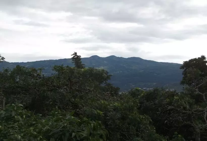 هتل Casa Tropical