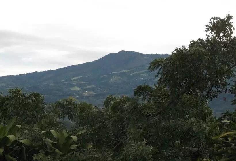 هتل Casa Tropical