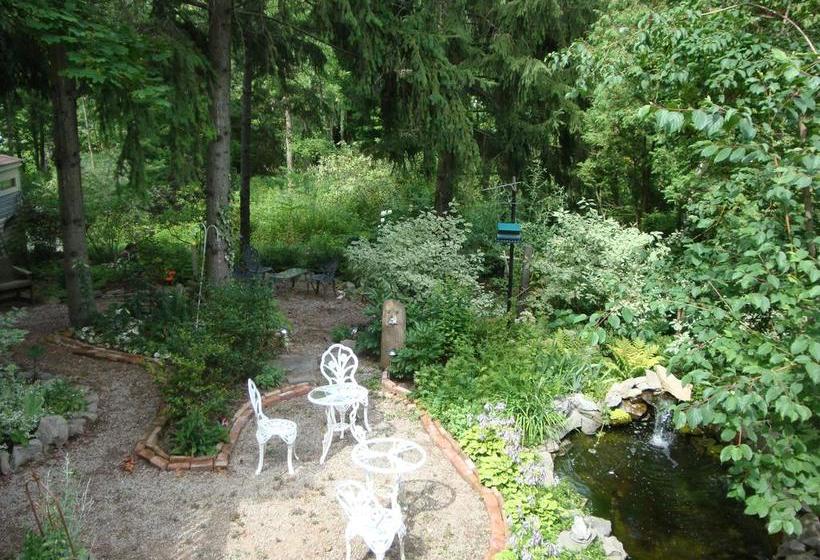 בית מלון כפרי Downhome Bed & Breakfast