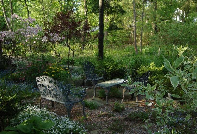 בית מלון כפרי Downhome Bed & Breakfast