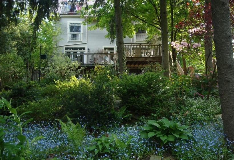 בית מלון כפרי Downhome Bed & Breakfast