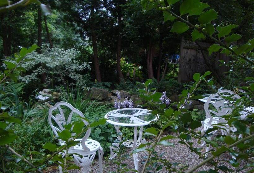 בית מלון כפרי Downhome Bed & Breakfast