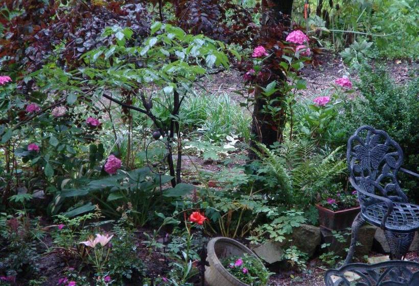 בית מלון כפרי Downhome Bed & Breakfast