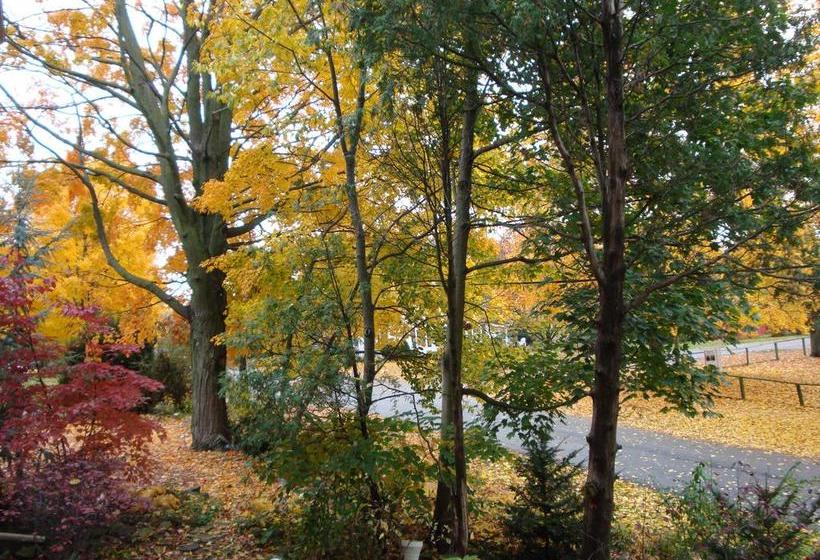 בית מלון כפרי Downhome Bed & Breakfast