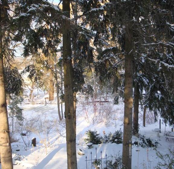 בית מלון כפרי Downhome Bed & Breakfast