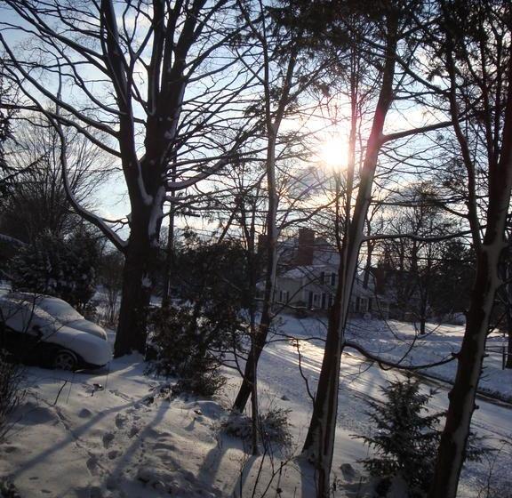 בית מלון כפרי Downhome Bed & Breakfast