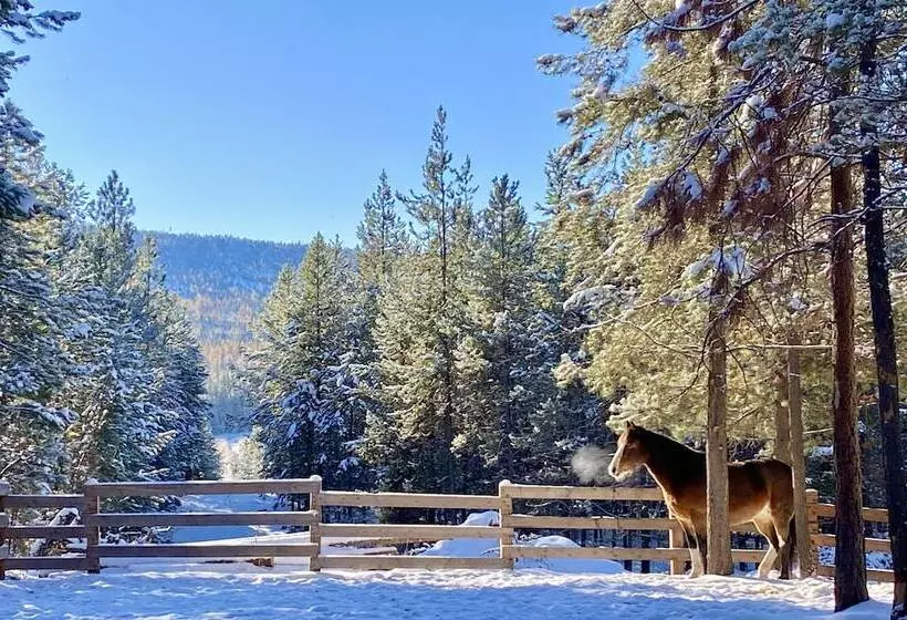 هتل Dream Haven Guest Ranch