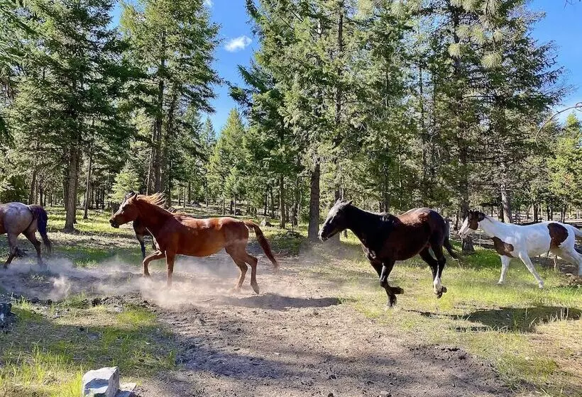 هتل Dream Haven Guest Ranch