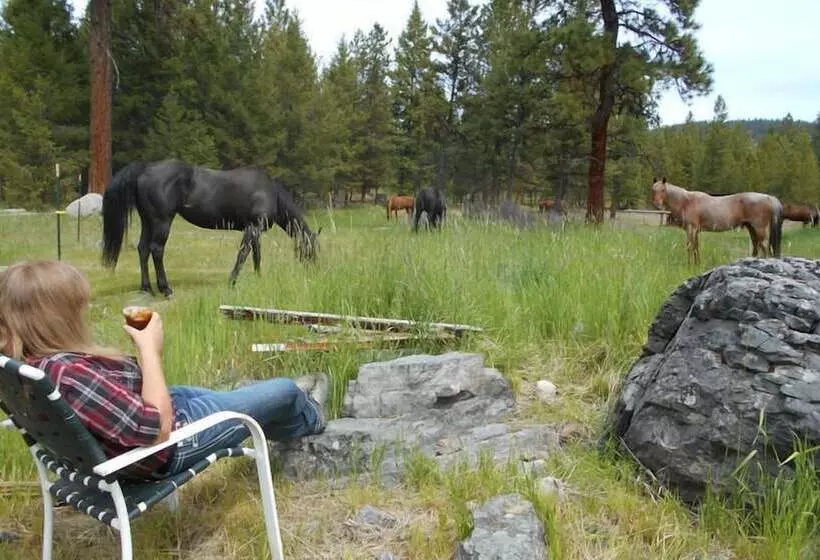 هتل Dream Haven Guest Ranch