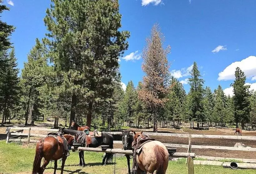 هتل Dream Haven Guest Ranch