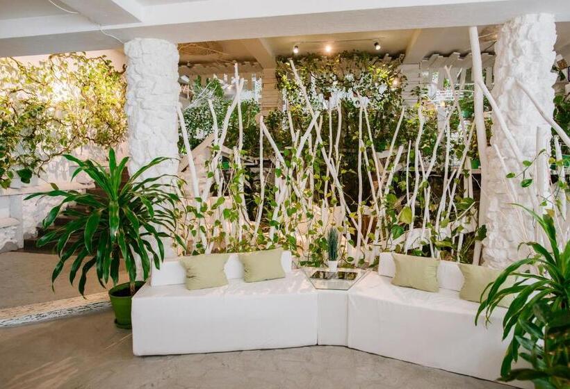 Отель Higina Spa