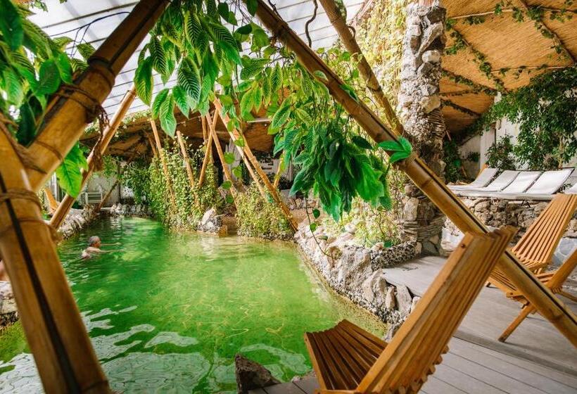 Отель Higina Spa