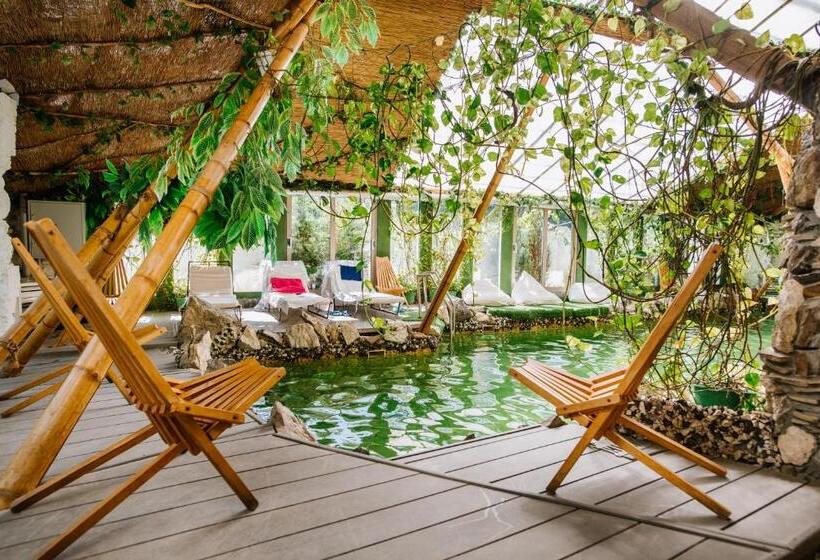 Отель Higina Spa