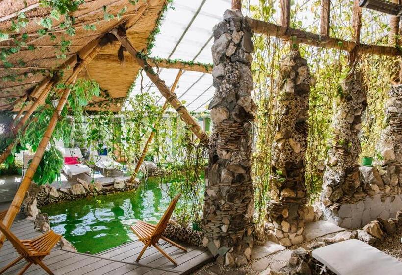 Отель Higina Spa