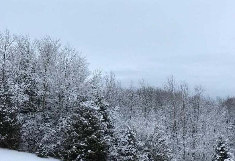 ホテル Our Valley View Bed & Breakfast