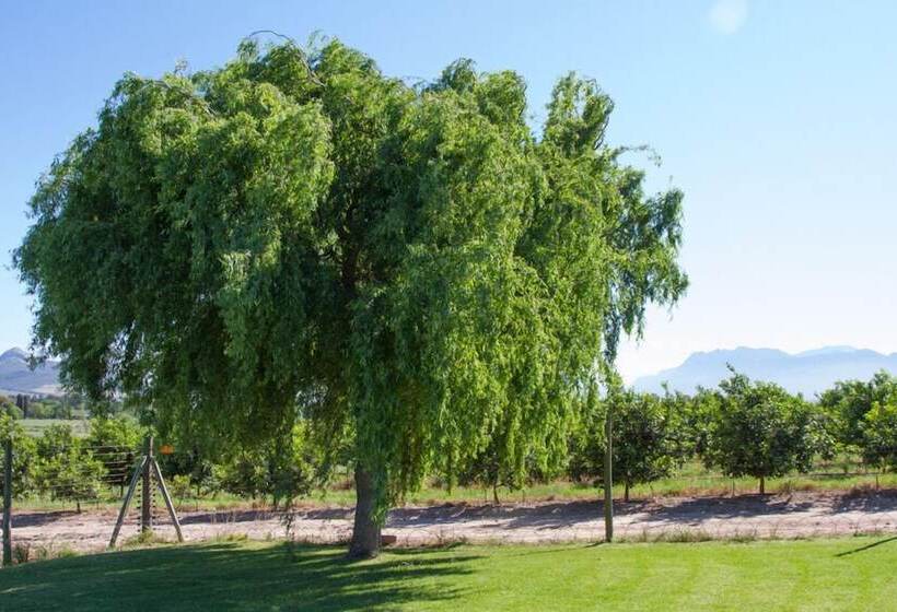 Hotelli Paddabult Self Catering Cottages