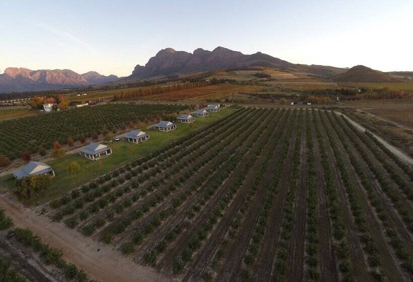 Hotelli Paddabult Self Catering Cottages