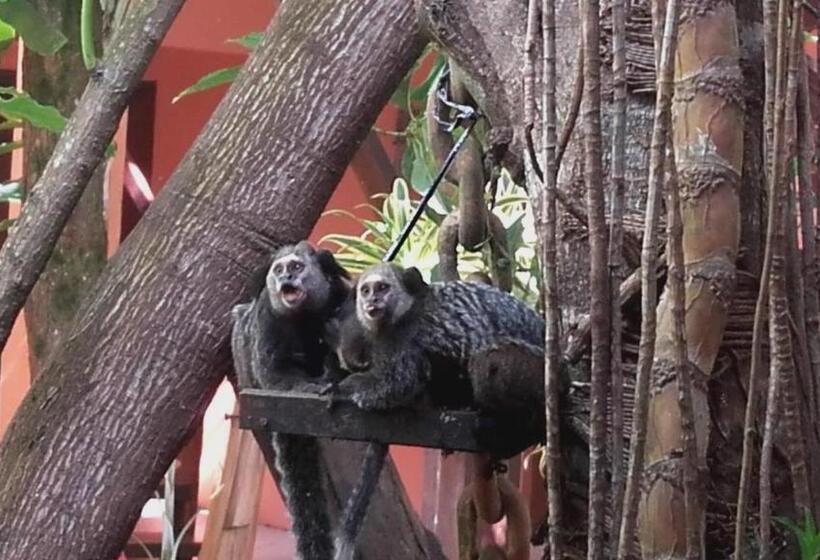 בית מלון כפרי Pousada Villa Do Sol