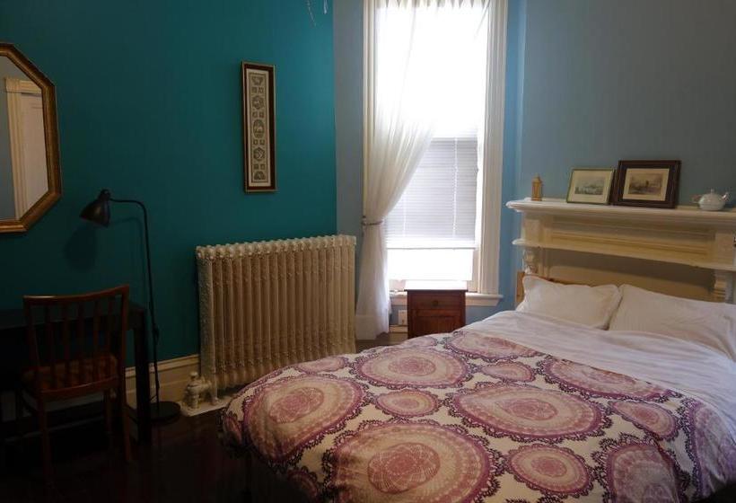 فندق Spadina 11 Guesthouse