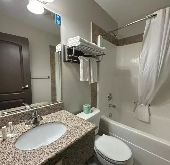 ホテル Travelodge By Wyndham Wetaskiwin