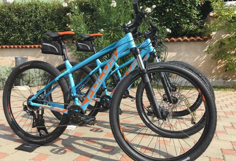 ホテル Villa Mihaela