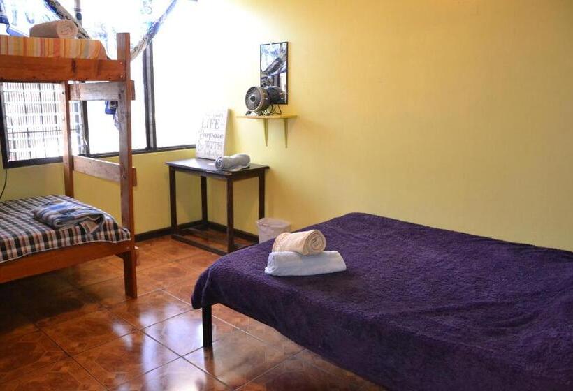 In The Wind Hostel And Guesthouse