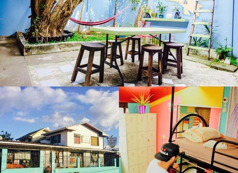 In The Wind Hostel And Guesthouse