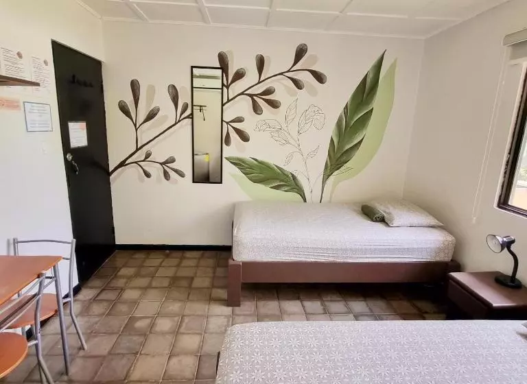 Casa Pura Vida Surf Hostel   Tamarindo Costa Rica
