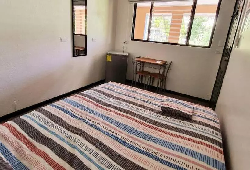 Casa Pura Vida Surf Hostel   Tamarindo Costa Rica