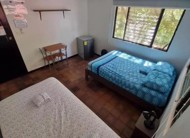 Casa Pura Vida Surf Hostel   Tamarindo Costa Rica