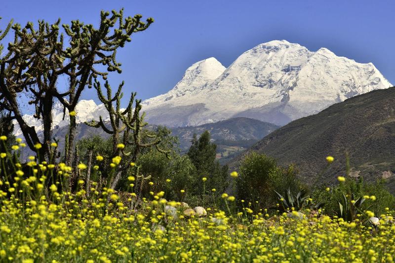 فندق صغير El Jacal Backpacker