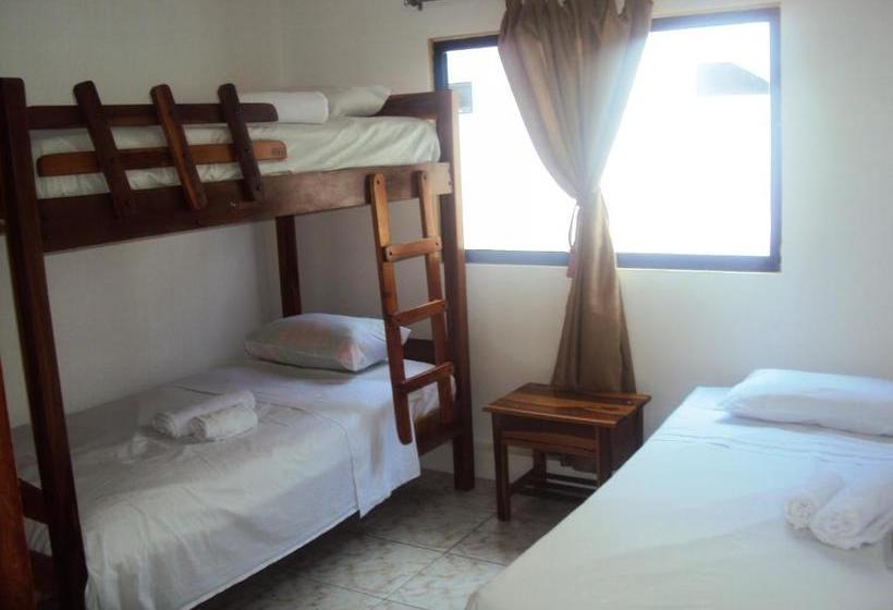 הוסטל Hostal La Casa De Luis