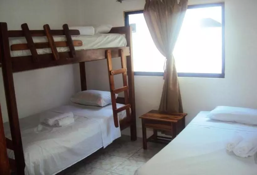 ユースホステル Hostal La Casa De Luis