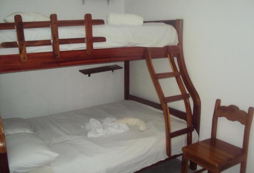 הוסטל Hostal La Casa De Luis