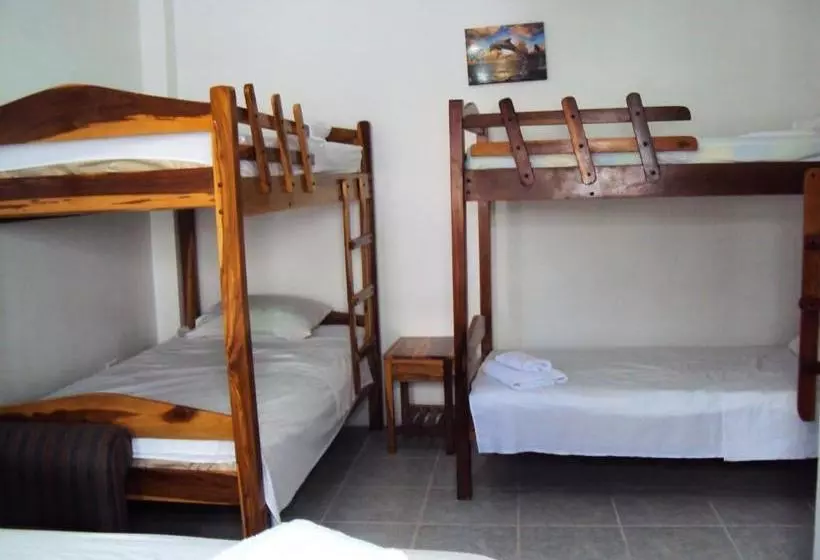ユースホステル Hostal La Casa De Luis