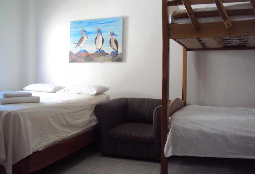 הוסטל Hostal La Casa De Luis