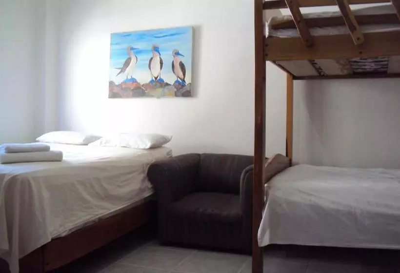 ユースホステル Hostal La Casa De Luis
